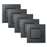 NOANE Lots de 5 Interrupteurs Va et Vient 10A Complet Anthracite