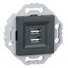 Prise Chargeur USB + Support Anthracite NOANE