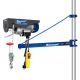 Palan Electrique 500W 125/250Kg + Support 600Kg - 750mm