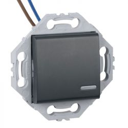 Interrupteur Poussoir à Voyant Lumineux + Support Anthracite NOANE