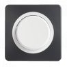 OHMTEC Epure Poussoir anthracite/blanc complet