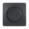 OHMTEC Epure Commutateur Anthracite 