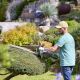 Pack Jardin Sans Fil 4 Saisons : Coupe Bordure + Taille Haie + Fraise à Neige + 2 Batteries + Chargeur