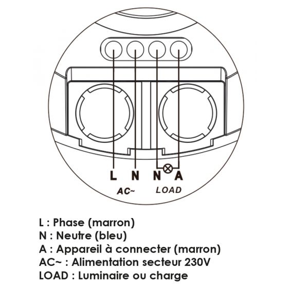 Détecteur de Mouvement Intérieur HF 360° WOLTZ